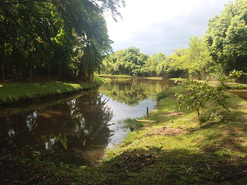 vila-dos-peixes.jpg